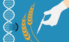 Please repond to the gene editing consultation