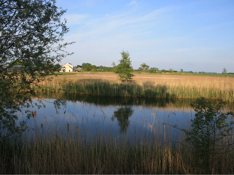 Gosberton Bank Nursery Seed Co-Operative
