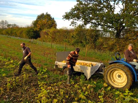 Farmers at Seed Co-Operative