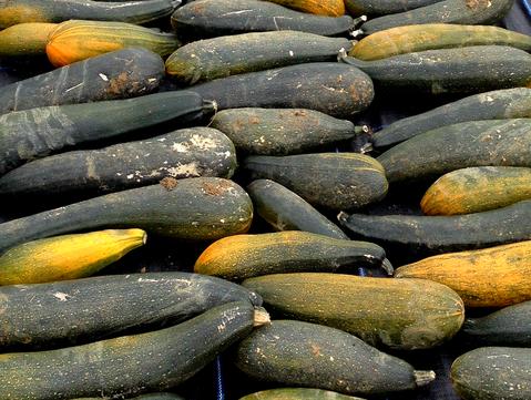 Organic courgettes