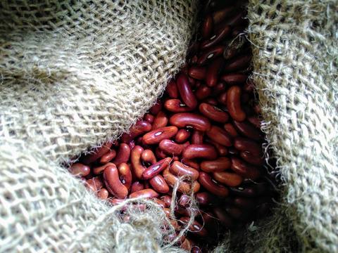 Beans Seed Co-Operative