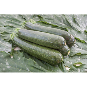 Image Title COURGETTE; Serafina