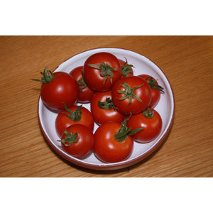 TOMATO; Ailsa Craig