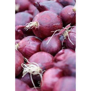 ONION; Red Baron