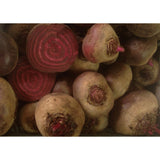 BEETROOT; Egyptian Turnip Rooted BEETROOT; Egyptian Turnip Rooted