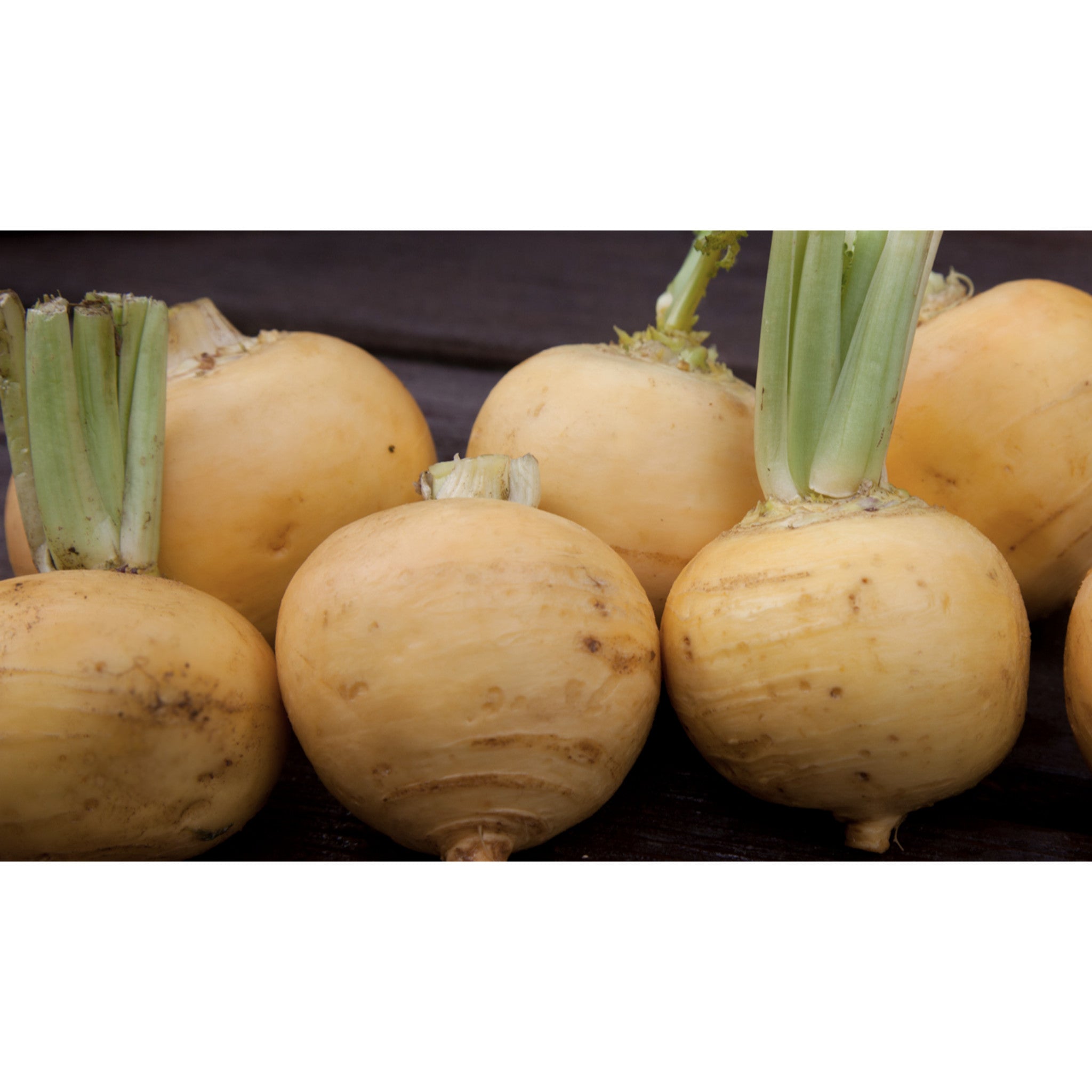 TURNIP; Golden Ball