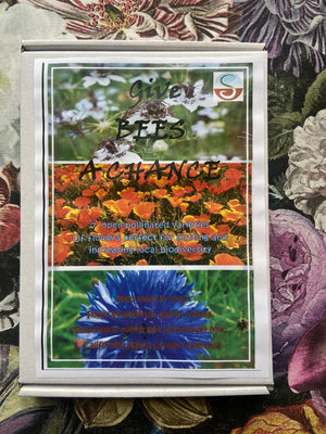 Give Bees a Chance Flowers Gift Set